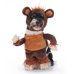 Cute Halloween Dog Costume