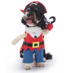 Cute Halloween Dog Costume