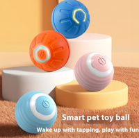 Pet Supplies