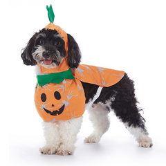 Cute Halloween Dog Costume