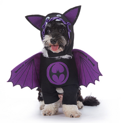 Cute Halloween Dog Costume
