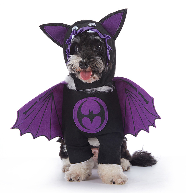 Cute Halloween Dog Costume