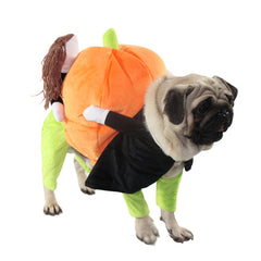 Halloween Pet Pumpkin Costume