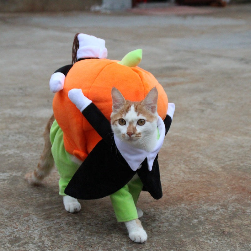 Halloween Pet Pumpkin Costume