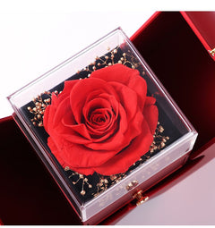 Double-Open Eternal Flower Jewelry